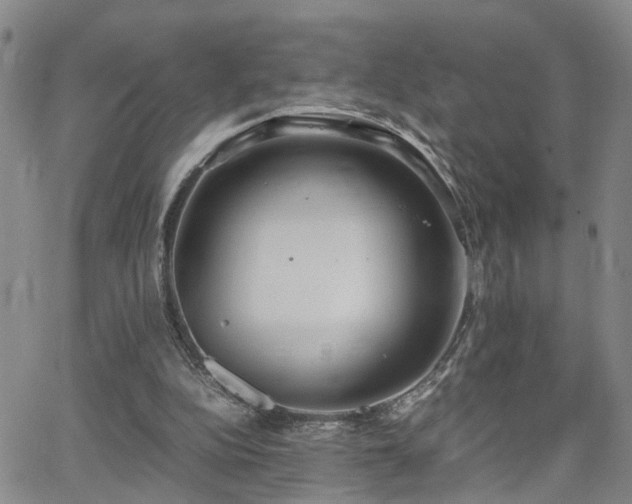 X0000062150152200512091323