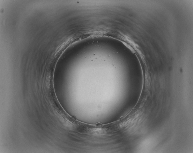 X0000062150153200512091323