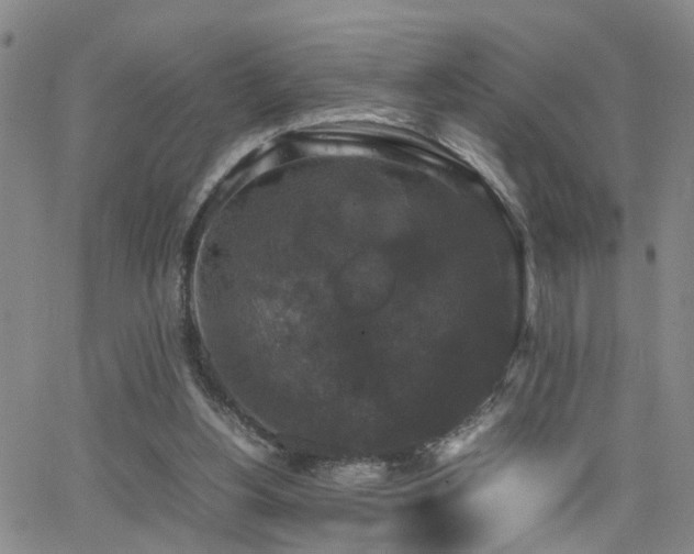 X0000062150156200512091323