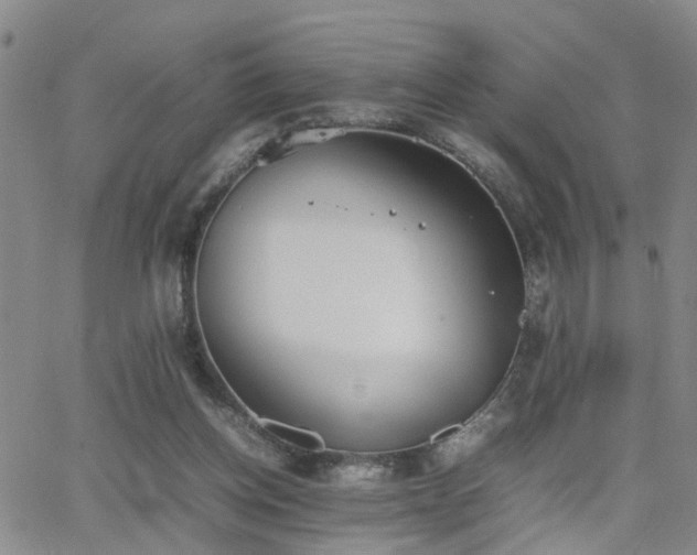 X0000062150158200512091323