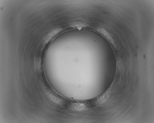 X0000062150159200512091323