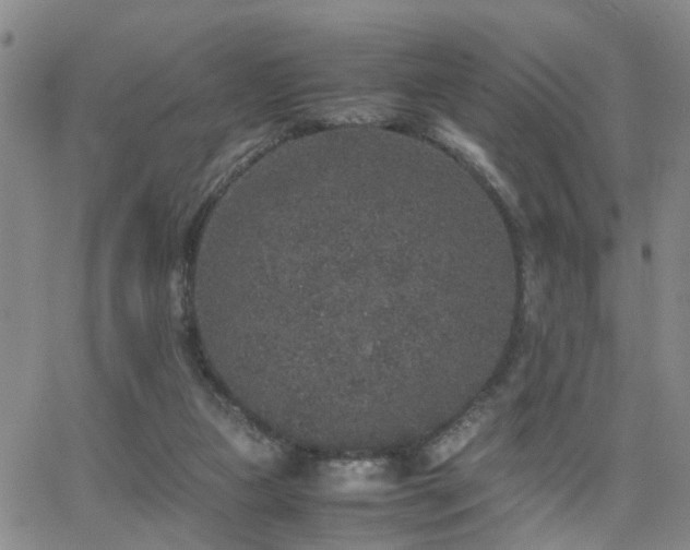 X0000062150161200512091323