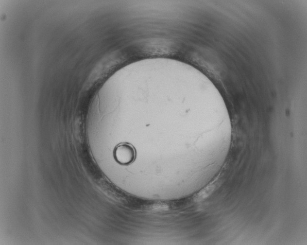 X0000062150162200512091323