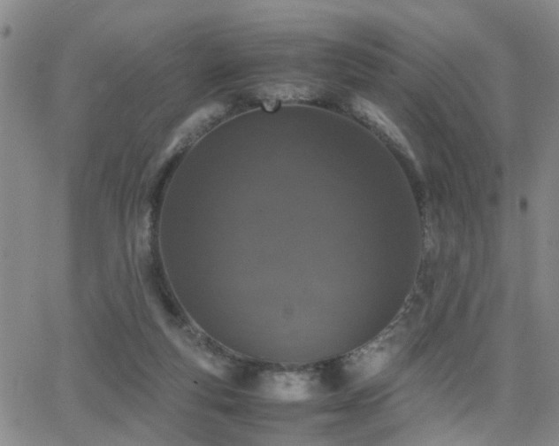 X0000062150163200512091323