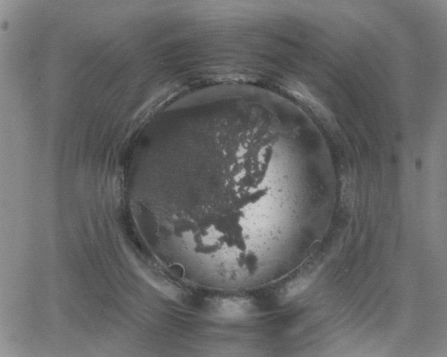 X0000062150165200512091323