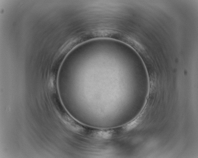 X0000062150166200512091323