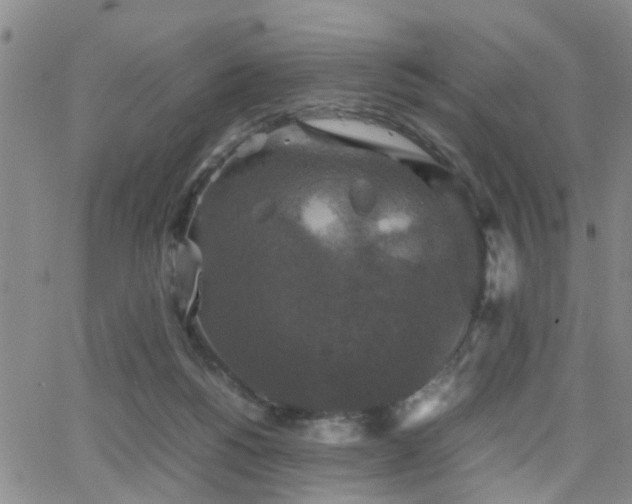 X0000062150168200512091323