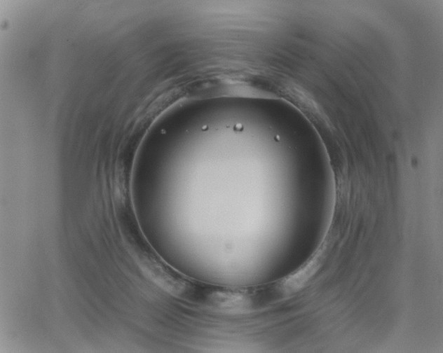 X0000062150170200512091323