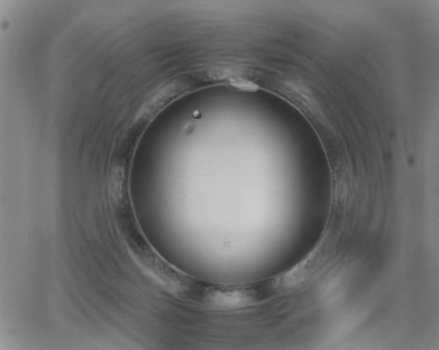 X0000062150171200512091323