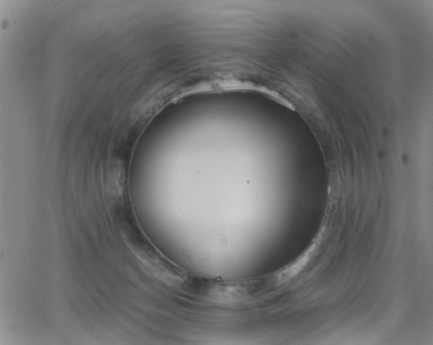 X0000062150174200512091323