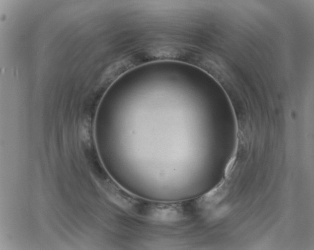 X0000062150175200512091323