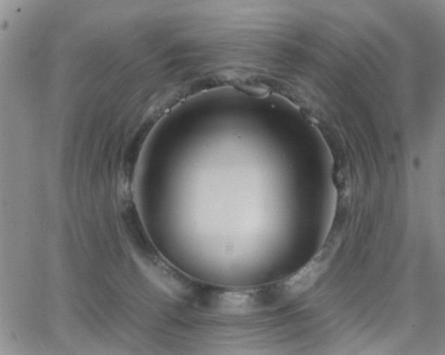 X0000062150176200512091324