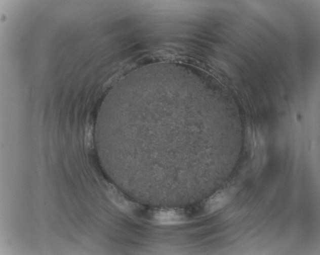 X0000062150177200512091324