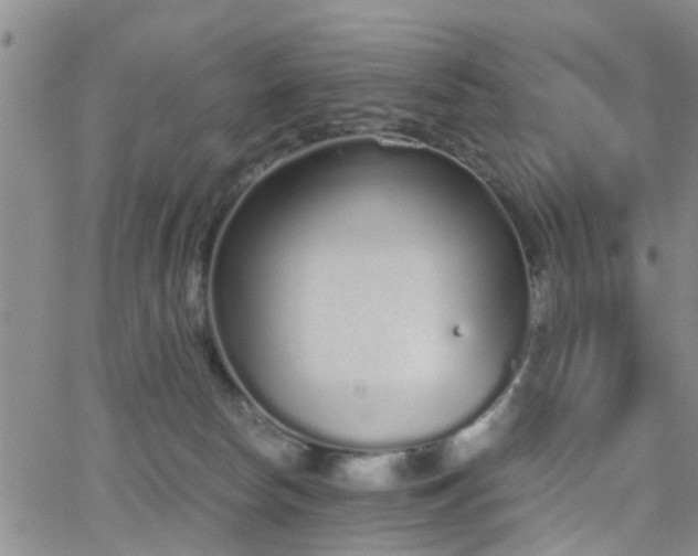 X0000062150178200512091324