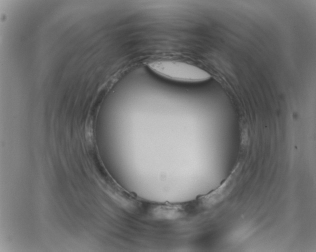 X0000062150179200512091324