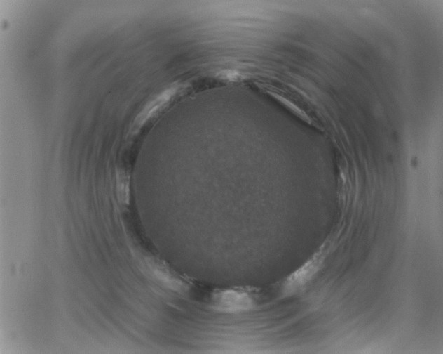 X0000062150180200512091324