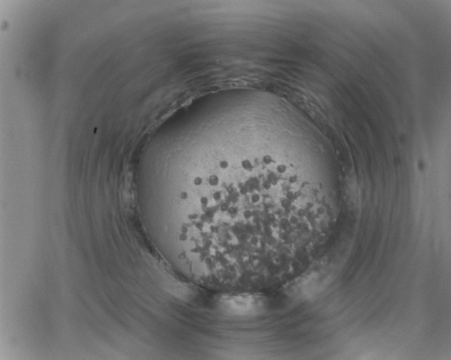 X0000062150181200512091324