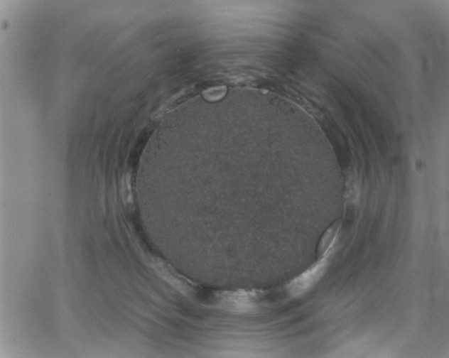 X0000062150182200512091324