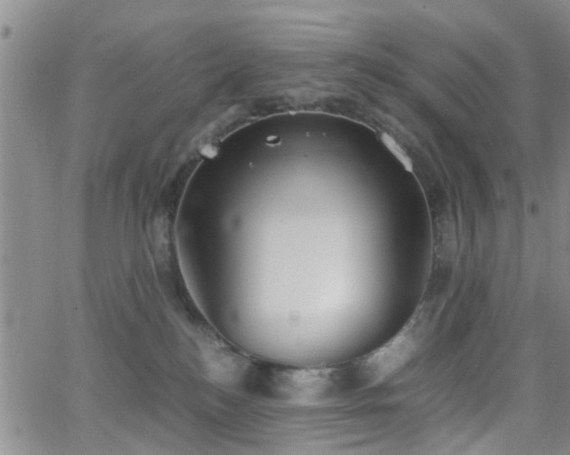 X0000062150184200512091324