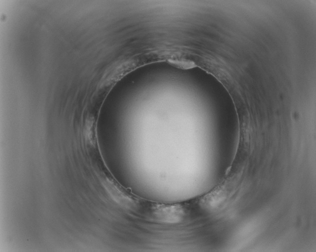 X0000062150185200512091324