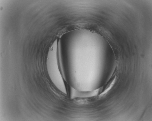 X0000062150186200512091324