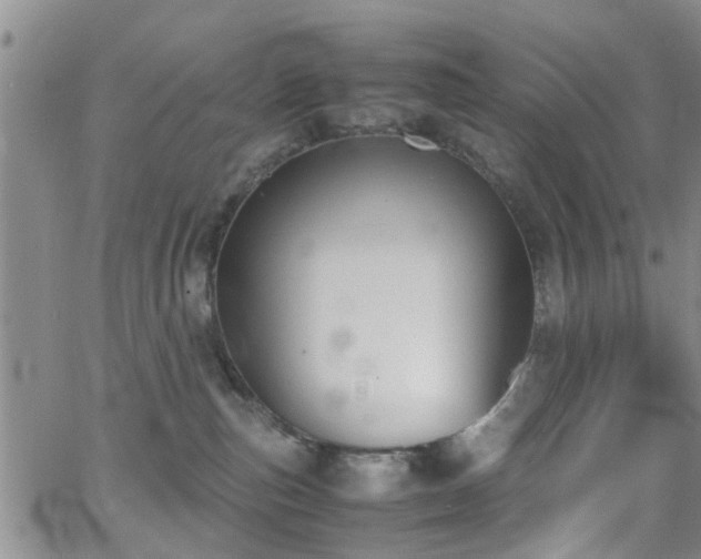 X0000062150187200512091324