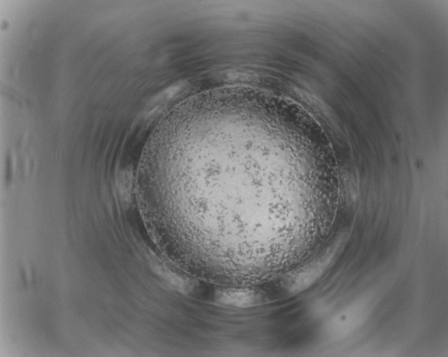 X0000062150189200512091324