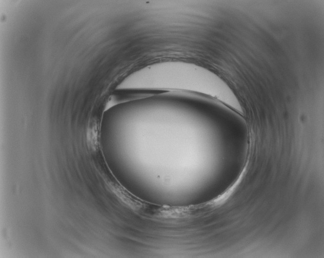 X0000062150190200512091324