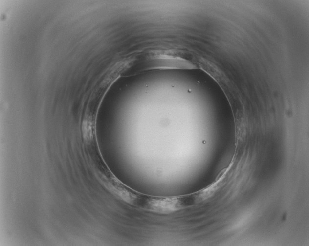 X0000062150191200512091324