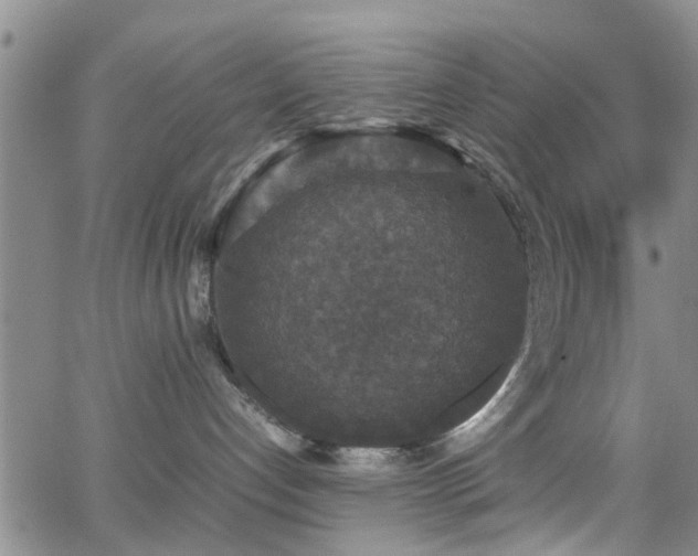 X0000062150192200512091324