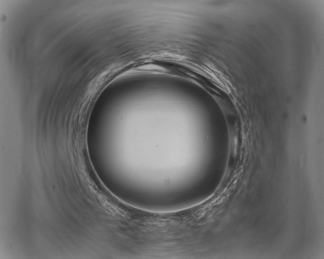 X0000062150193200512091323