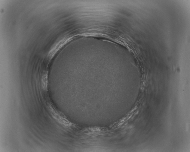 X0000062150194200512091323