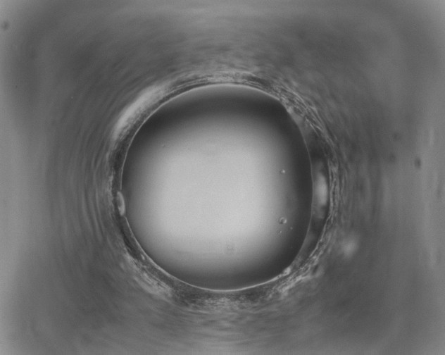 X0000062150197200512091323