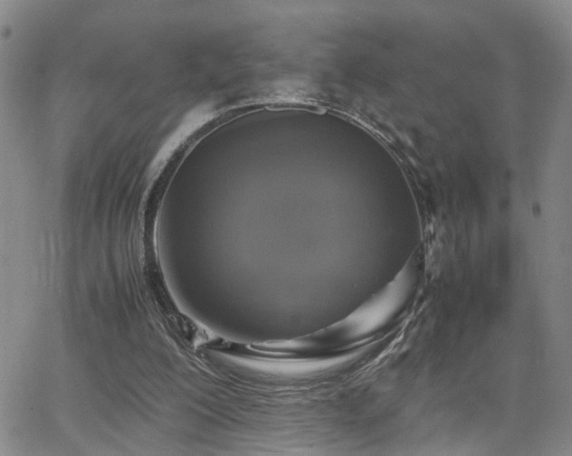 X0000062150200200512091323