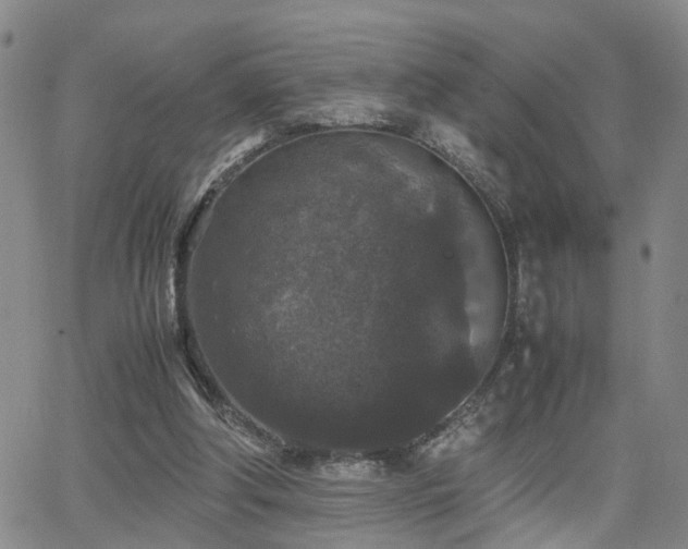 X0000062150202200512091323