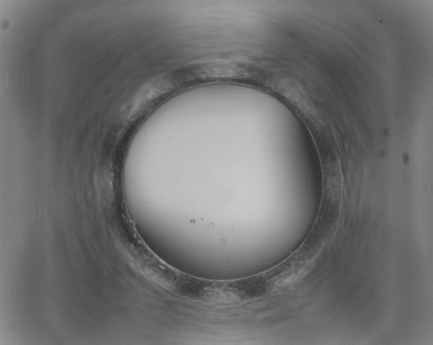 X0000062150207200512091323