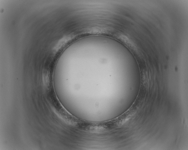 X0000062150208200512091323