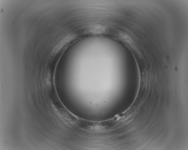 X0000062150212200512091323