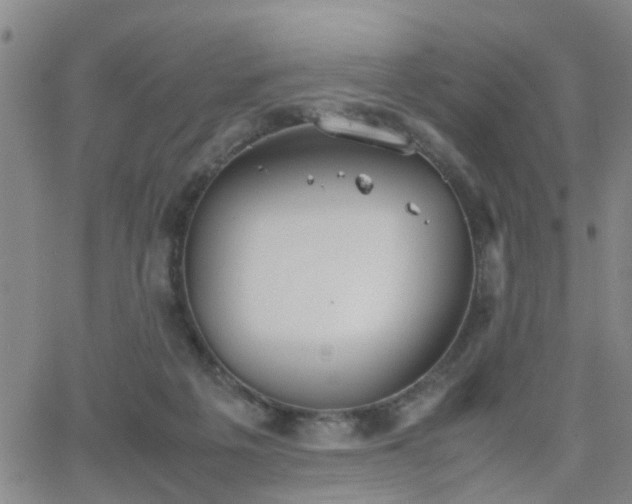 X0000062150217200512091323