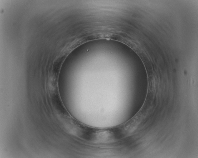 X0000062150218200512091323