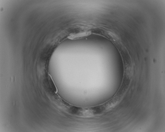 X0000062150221200512091323