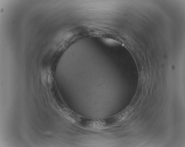 X0000062150223200512091322