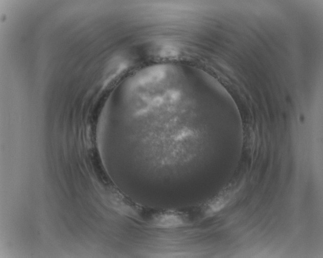 X0000062150224200512091322