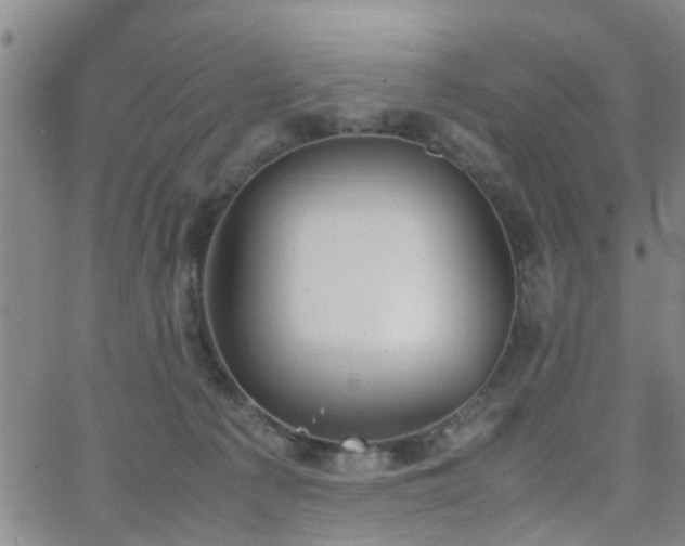 X0000062150225200512091322