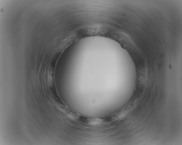 X0000062150226200512091322