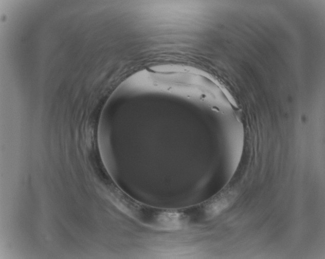 X0000062150227200512091322