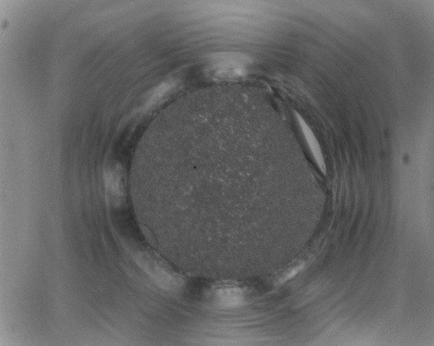 X0000062150228200512091322