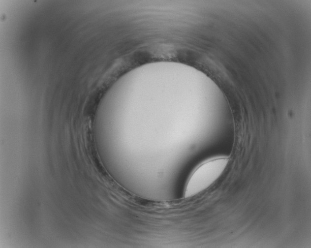 X0000062150229200512091322