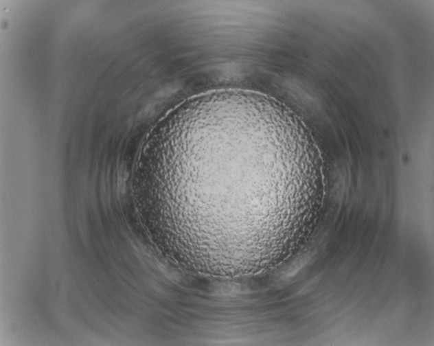 X0000062150230200512091322