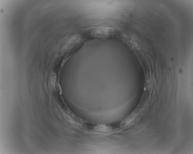 X0000062150231200512091322